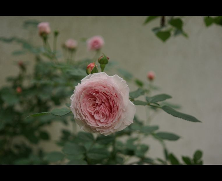 Capture+_2018-05-21-12-19-46-01 - James Gallway