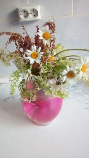 IMG-20180523-WA0009 - 29 mai 2018 - Parfum de Maramures