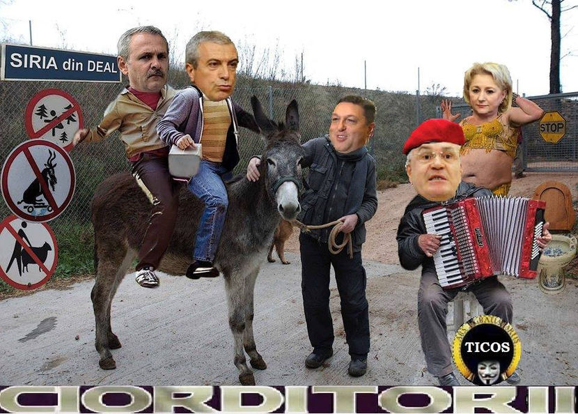  - Poze haioase pamflet