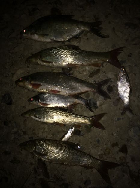 28-05-2018 - 11-Alt hobby