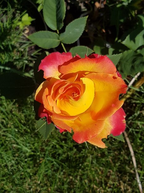  - Mai 2018