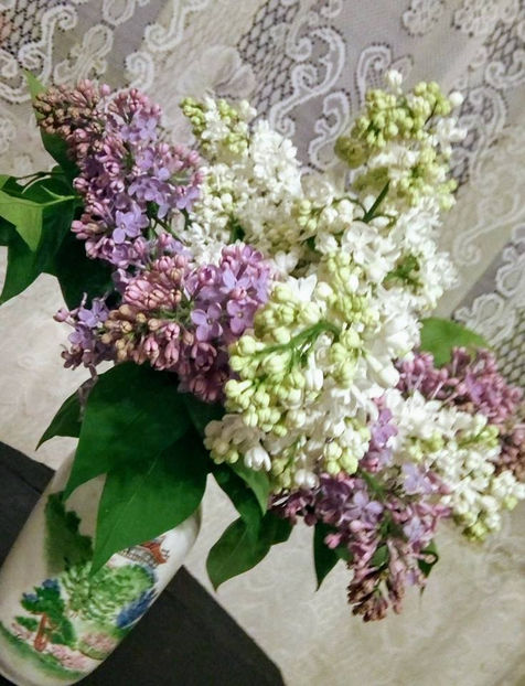  - FLORICELELE MELE - DRAGELE MELE