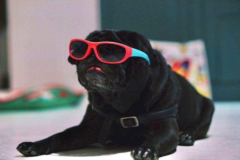 Cronica Carcotasilor - Cronica Carcotasilor Part 1