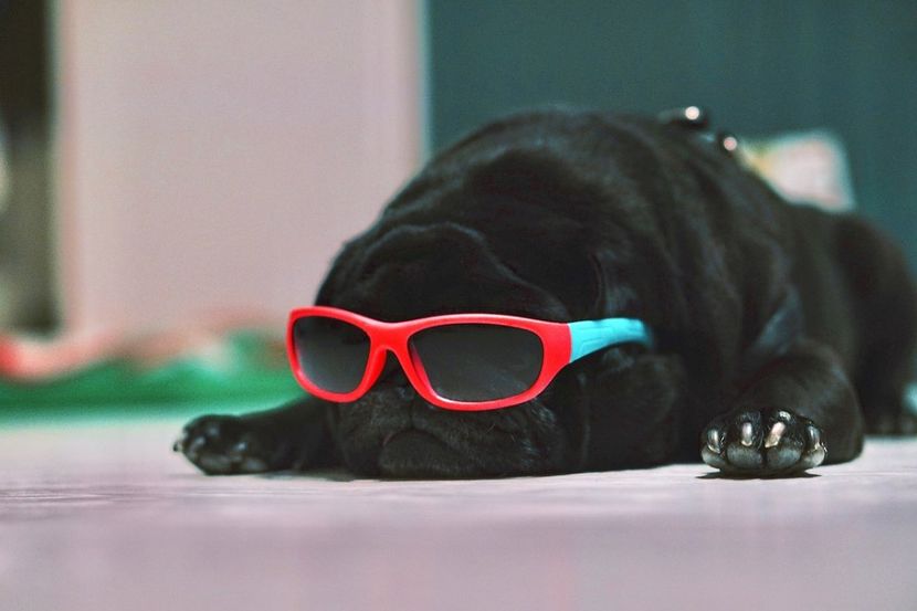 Cronica Carcotasilor - Cronica Carcotasilor Part 1