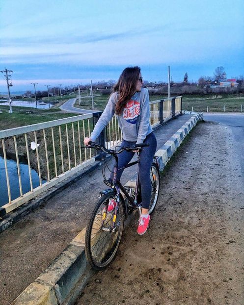  - diverse flori 2018