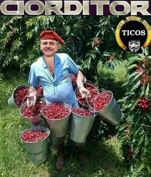  - Poze haioase pamflet