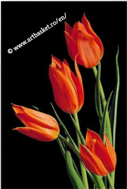 30x44,7 cm-48 anchor - Diagrame pentru Goblen-Flori