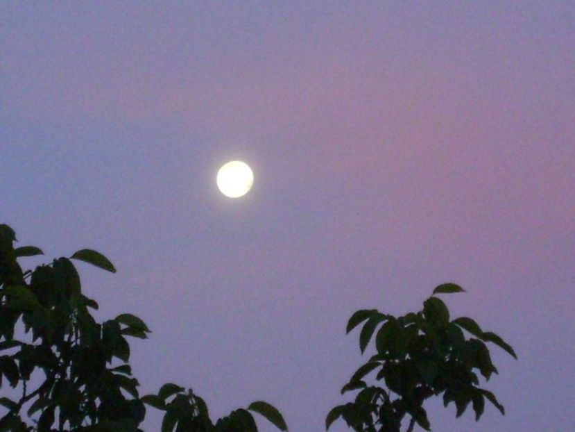 Luna plina in Sagetator - Luna - Soarele si norii - 1