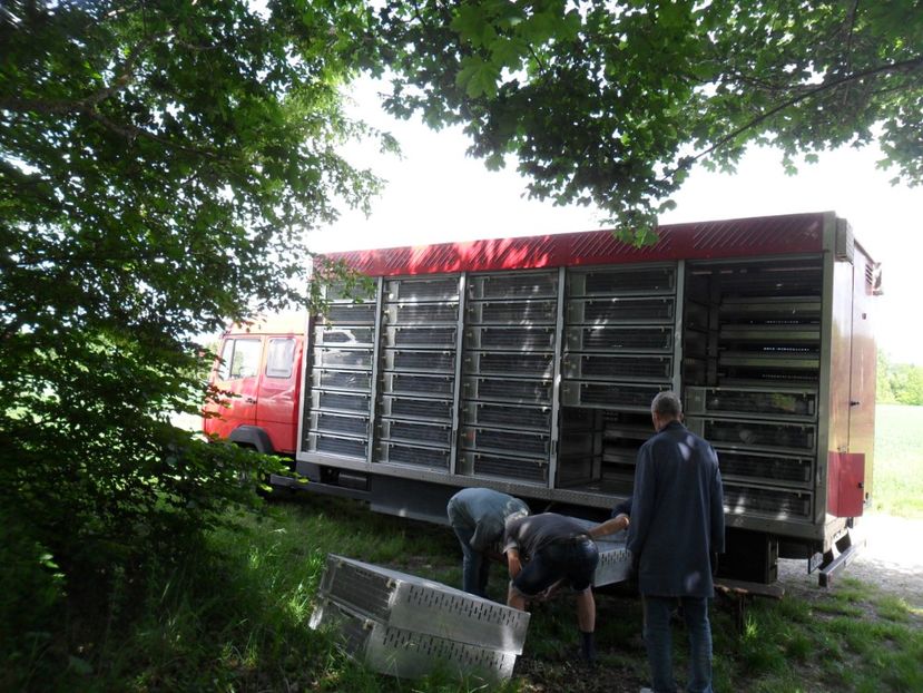 Masina de Transport Porumbeii - Crescatoria D