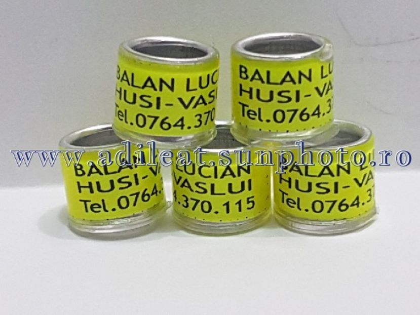 TextArt_180530222327 - 1-A-INELE PERSONALIZATE 2018