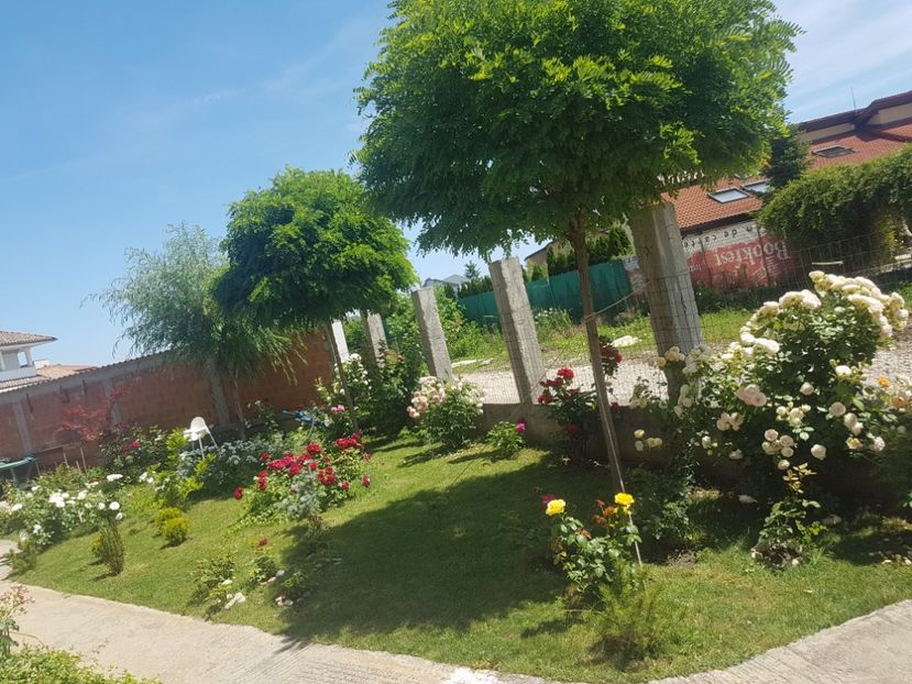  - Gradina mai 2018