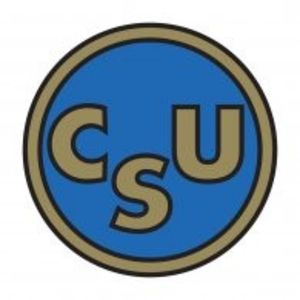 Dunarea Galati - Dunarea Galati Istorie