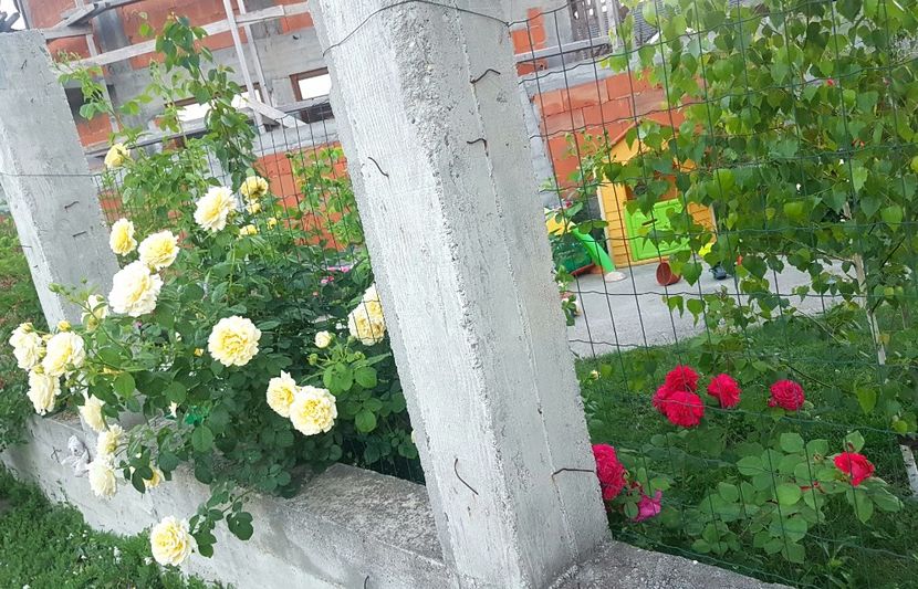  - Cyrano de Bergerac