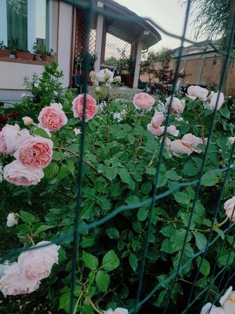 - Abraham Darby