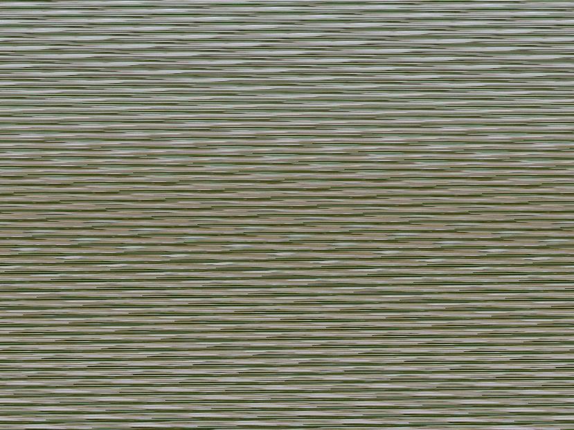 P1370631 - HOYA 2018-1