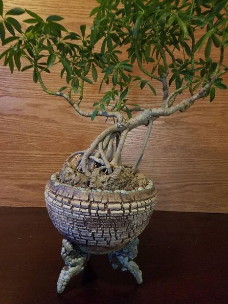 Mark Follon - Vase - aranjamente - accesorii