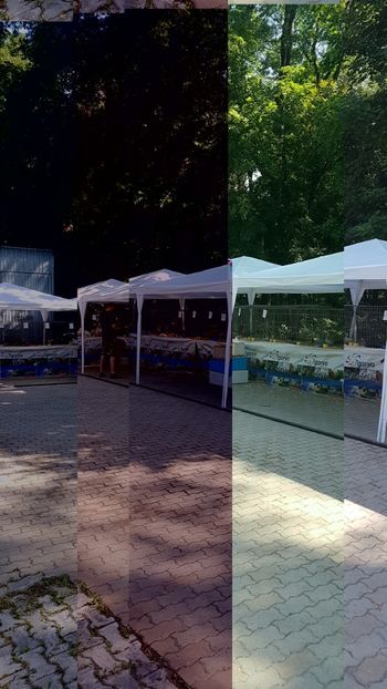  - 0- Expozitie de pasari la Muzeul Antipa Bucuresti 1-3 iunie 2018