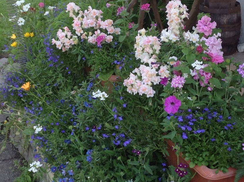  - Jardiniere 2018