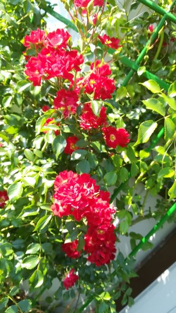  - Gruss an Baden-Baden