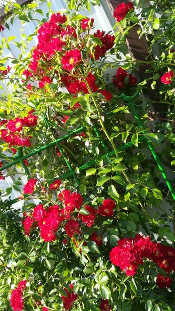  - Gruss an Baden-Baden