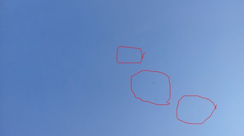  - antrenament de 3 ori pe saptamana