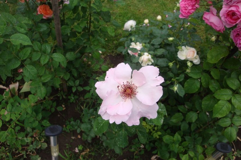  - Jardiniers du Paradis