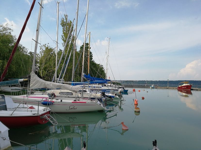  - Fotografii diverse