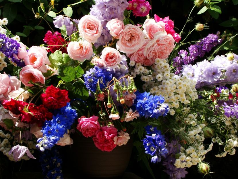 3 iunie 2018 - Iunie 2018