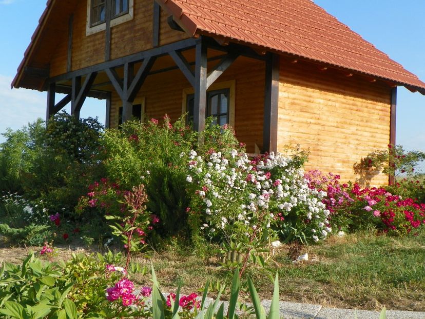 casuta dintre roze - Dobarland 2018 2