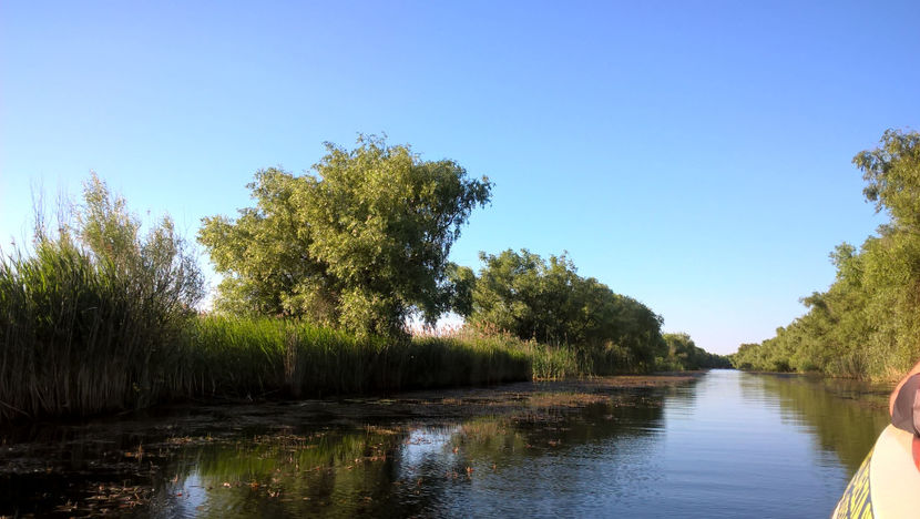 canalul Caraoman - Delta Dunarii iunie 2018