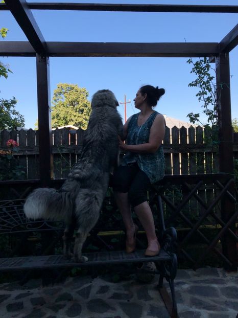 "E cineva in curtea vecinilor!" - MARA DE CROITORU