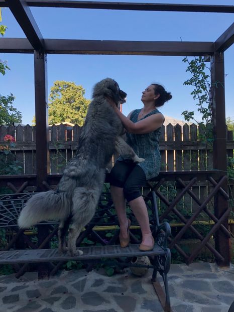 "Il cunosc,nu-l latru" - MARA DE CROITORU