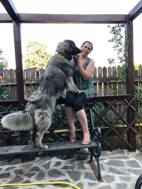 "mirosi a iarba!" - MARA DE CROITORU