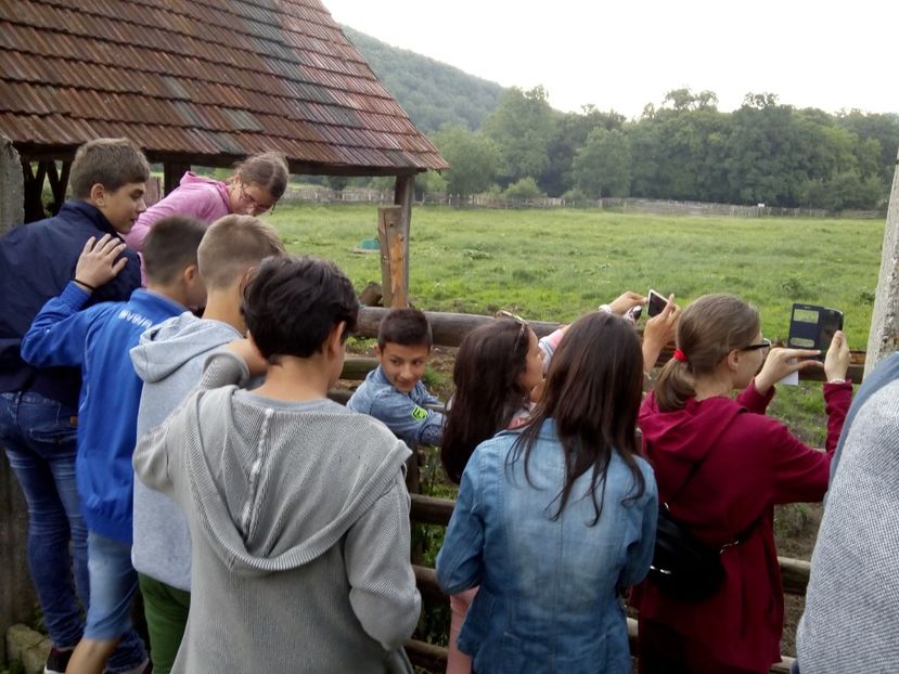  - 2018 - Excursie 2-3 iunie