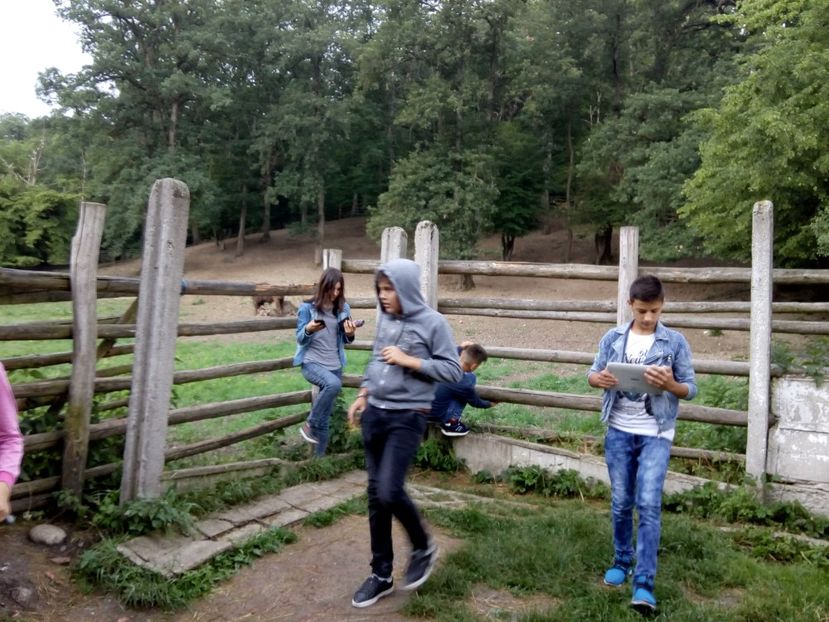  - 2018 - Excursie 2-3 iunie