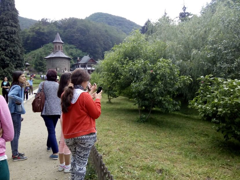  - 2018 - Excursie 2-3 iunie