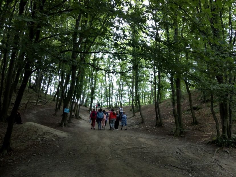  - 2018 - Excursie 2-3 iunie