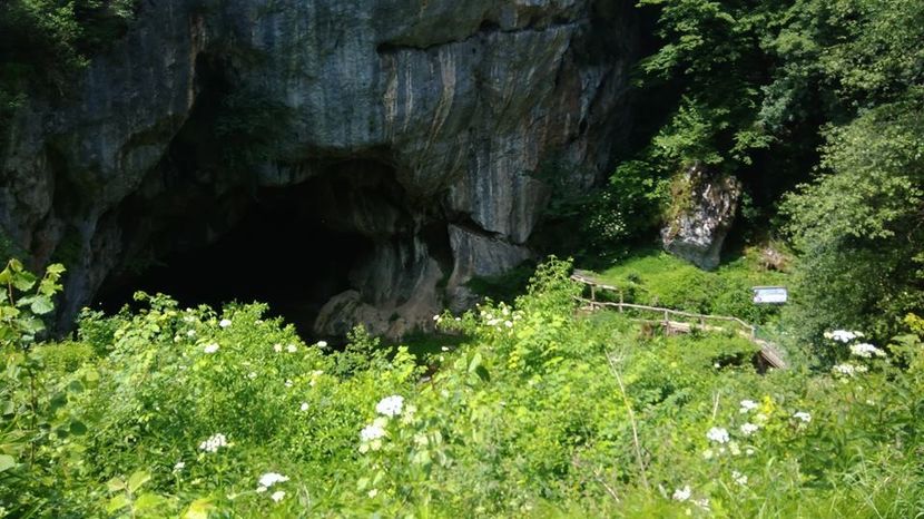 - 2018 - Excursie 2-3 iunie