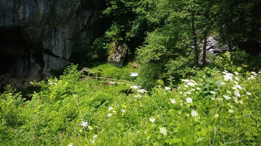  - 2018 - Excursie 2-3 iunie