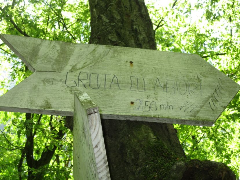  - 2018- mai - Excursie Orsova