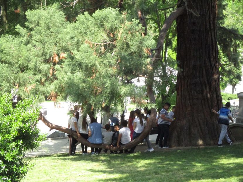  - 2018- mai - Excursie Orsova