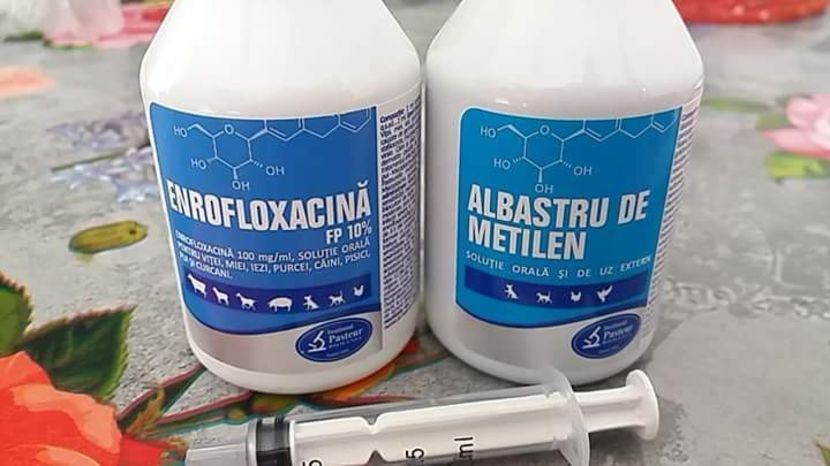  - MEDICAMENTE PUI DE RASĂ