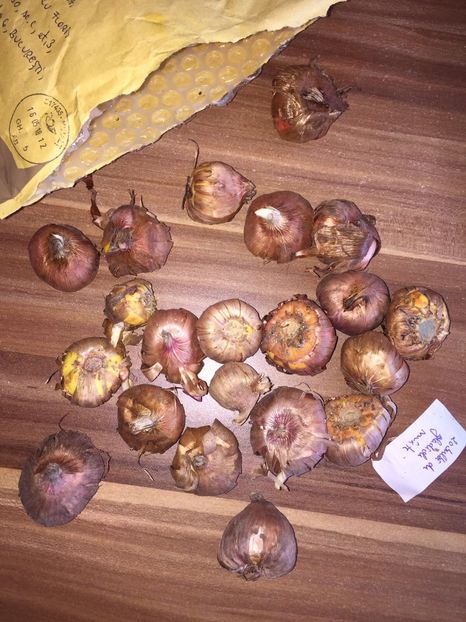 18f0f6d2-583f-45f6-b7b6-99b7279ed39 - Achizitii FLORI 2018