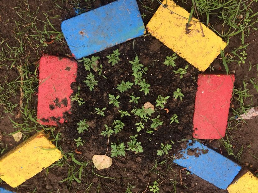 64be880b-69ba-466e-80a7-f26207769778 - Decor ptr gradină facute de mine