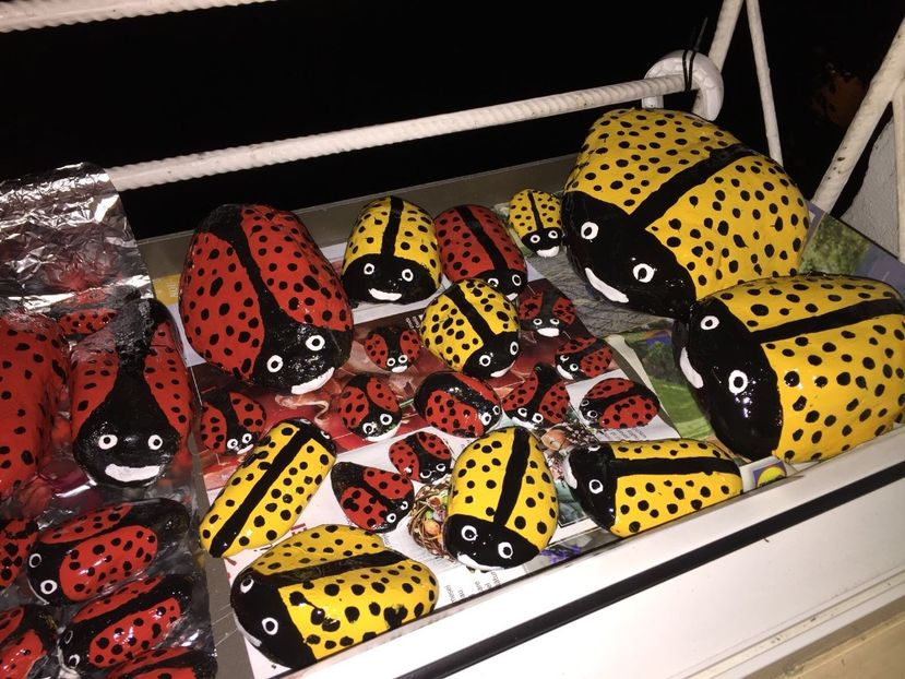 ba78bbf3-ae49-44be-b94e-02d27ed10f27 - Decor ptr gradină facute de mine