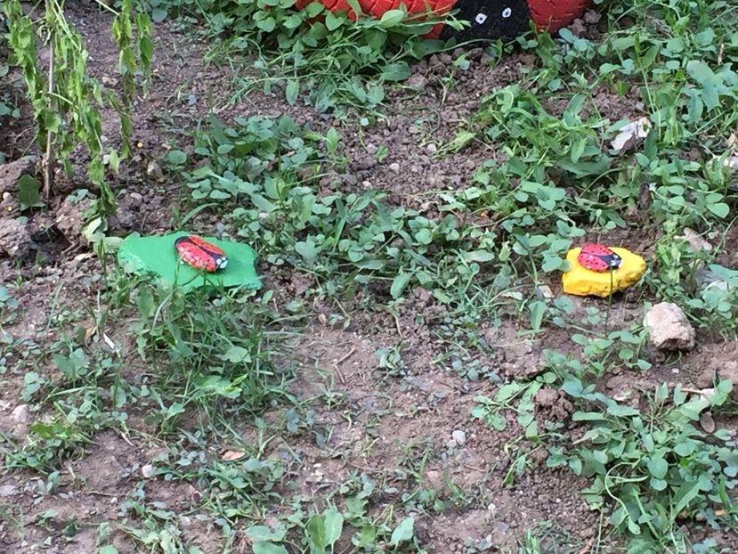 54502985-cf87-42d9-a272-8fe288c6c45a - Decor ptr gradină facute de mine