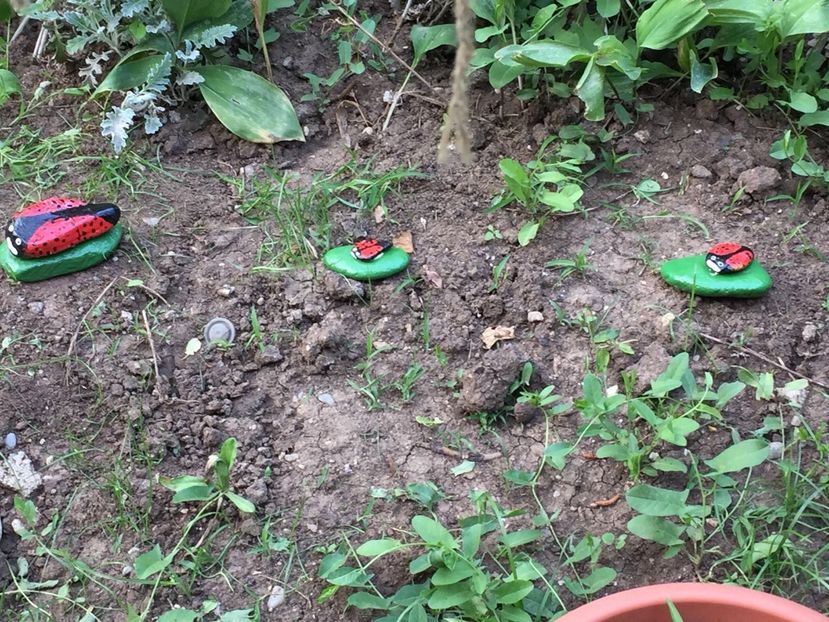 6b74f814-001e-4c02-9235-4c1a5d519f67 - Decor ptr gradină facute de mine