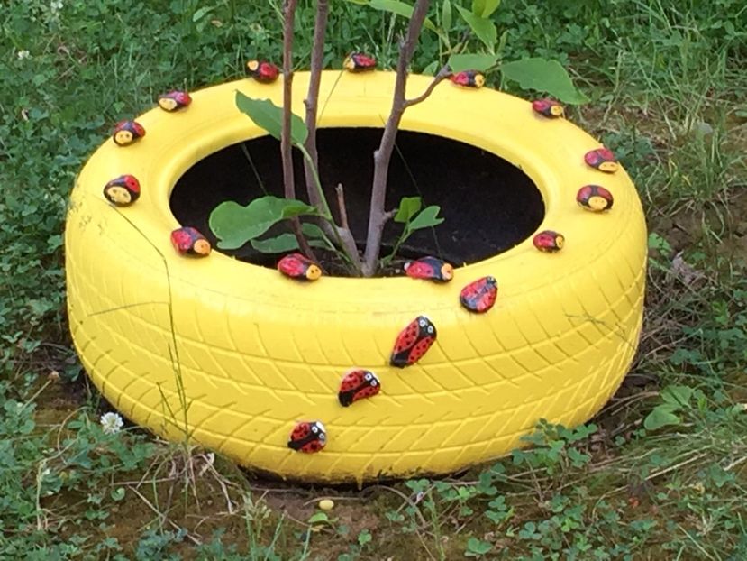 093f492a-5ca2-4a2a-8ba0-210e865a5be6 - Decor ptr gradină facute de mine