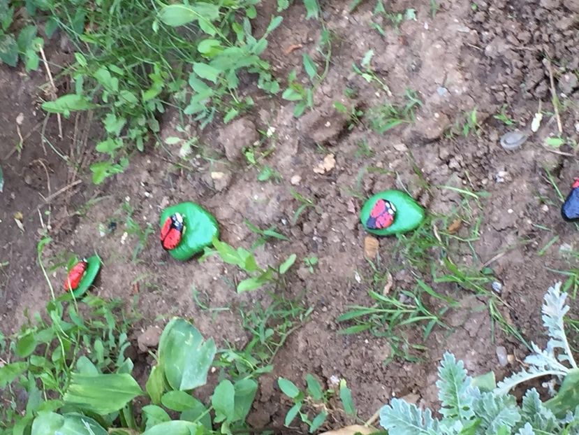 4f2ab7e0-7785-43f3-a8a7-826a7959c111 - Decor ptr gradină facute de mine