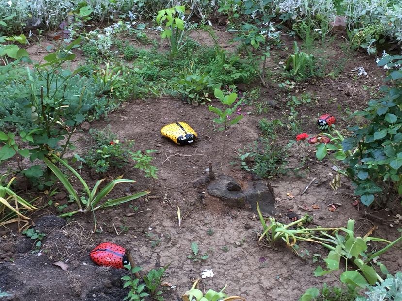 54d7b77f-0fb6-4619-8acb-5aca0de47c92 - Decor ptr gradină facute de mine